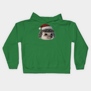 Christmas Hedgehog Or Opossum Wearing Santa Costume Kids Hoodie